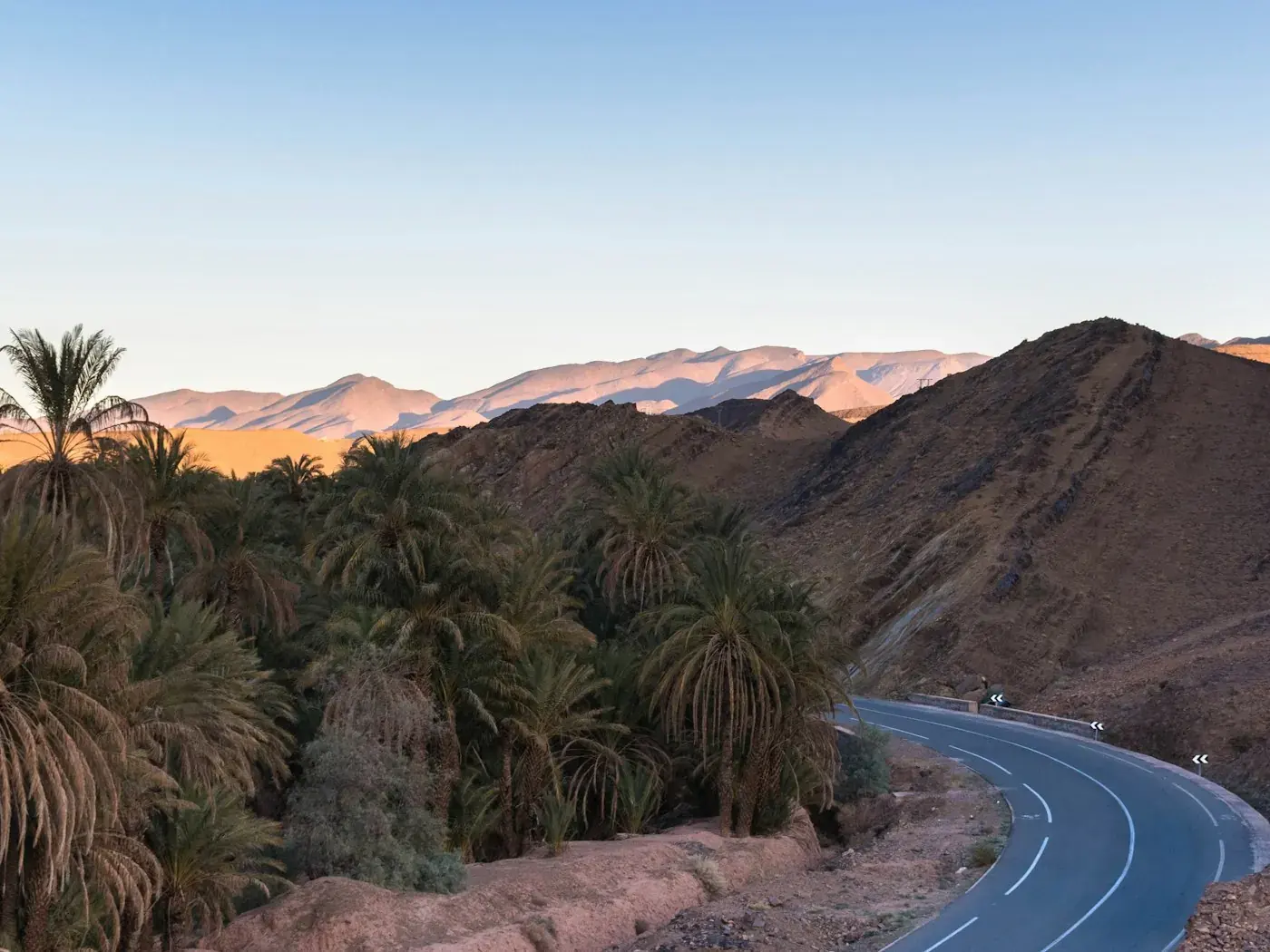 A road winding between date palms and bare mountains.